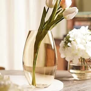 Buy Pure Home + Living Clear Amber Oblong Glass Vase - Large Online at ...