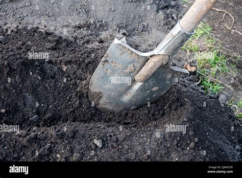 Dig Hole 的图像结果