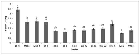 Functional and Genetic Diversity of Bacteria Associated with the ...