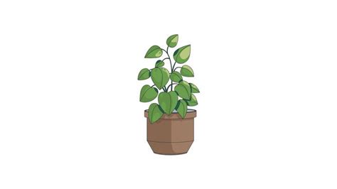 Image result for Plant Animation Tutorial