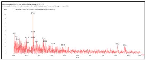Ambient Temperature Self-Blowing Tannin-Humins Biofoams