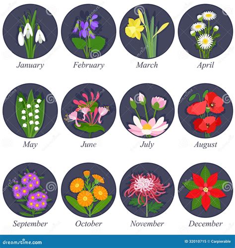 Flowers Of The Month Items at James Vanhorn blog