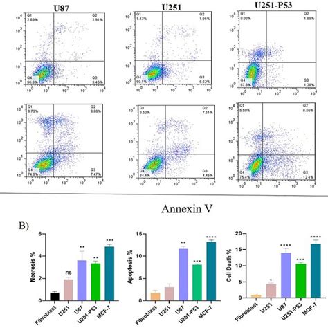 Flow Cytometry Histogram 的图像结果