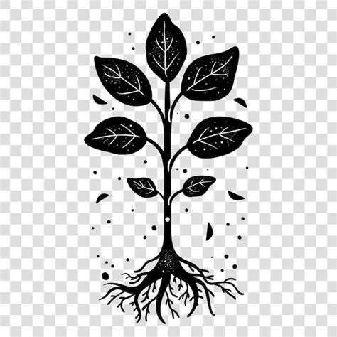 Premium PSD | PNG Plant drawing sketch leaf