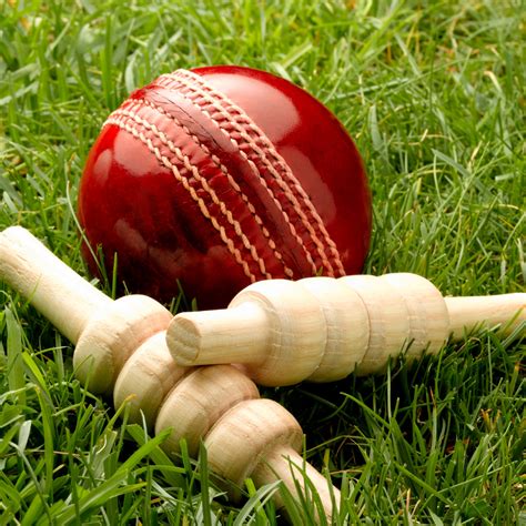 4M Sports – Best Cricket & Sports Shop in Chennai