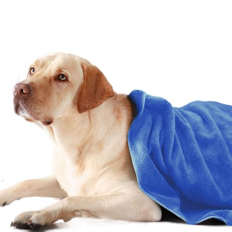 Buy Pet Towels Online, Shop Ultra Soft Microfiber Pet Towel With All ...