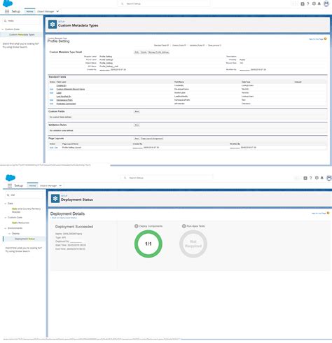 Using Custom Metadata Type in Apex Class Salesforce 的图像结果