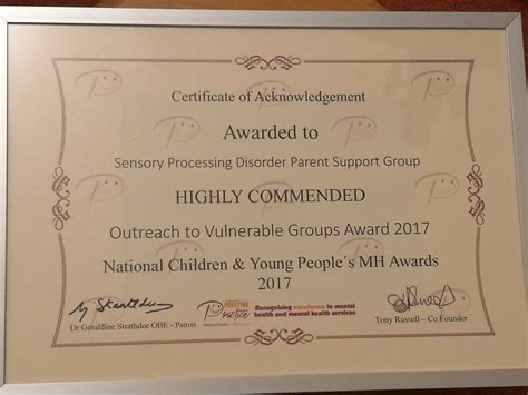 Highly Commended for the SPD Group! - Tree Tops Children's Occupational Therapy