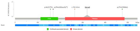 Impact of High-to-Moderate Penetrance Genes on Genetic Testing: Looking ...
