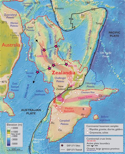 Animals Used The Lost Continent Of Zealandia To Spread Across The Pacific Millions Of Years Ago