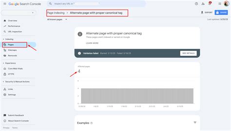 Alternate Page with Proper Canonical Tag Error