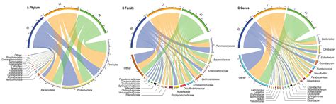 Environment-Dependent Variation in Gut Microbiota of an Oviparous ...
