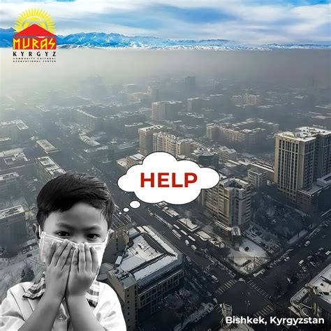 MURAS Kyrgyz Community Cultural & Educational Center (@muras_kyrgyz ...