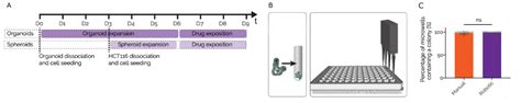 Organoids Generation and Phenotypic Screen on Millicell® Microwell Plates