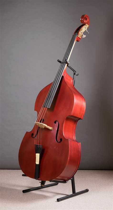Bass And Double Bass