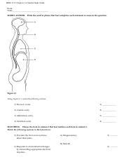 Image result for Chapter 1 Study Guide