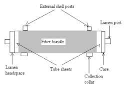 Correlation Of Mass Transfer Coefficients For Single Cylinder - Mass ...