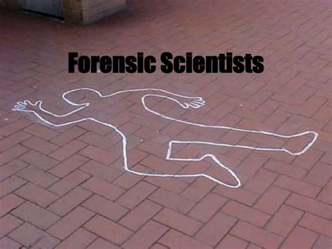 Forensic Scientist Explained 的图像结果