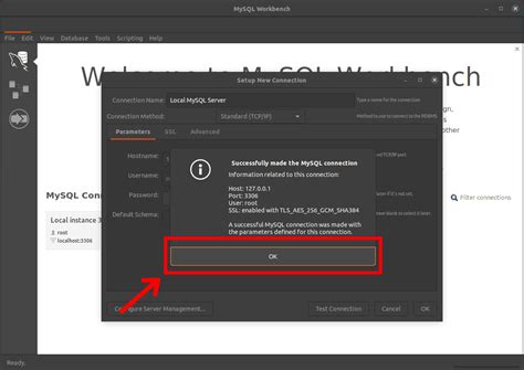 How to Replicate SQL Server Database Using MySQL Workbench 的图像结果