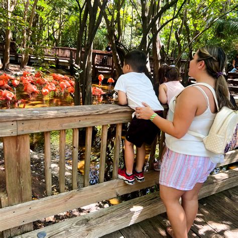 What to Do in Miami with Kids: Best 11 Activities - Fernandez Family ...