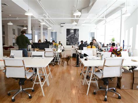 BarkBox's NYC Headquarters Are A Dog Lover's Paradise [PHOTOS ...