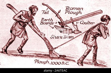 Image result for Using a Medieval Harrow