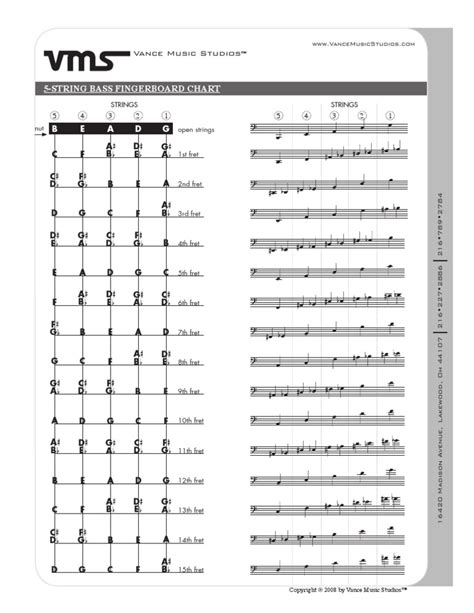 Image result for 5 Strig Bass Tutorial