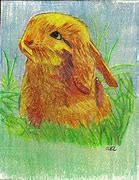 Image result for Little Bunny Cartoon