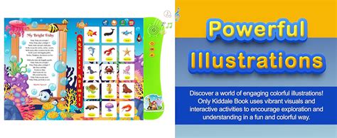 Buy Kiddale Pack of 2 Musical Interactive Children Sound Books: ABC ...