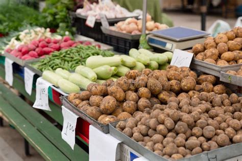 Organic Farmers Market 的图像结果