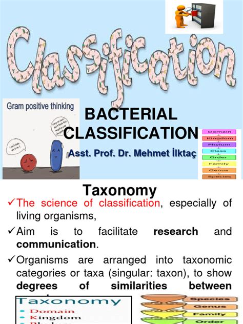 Image result for Types of Bacteria Classification