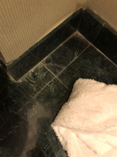 GRAND COPTHORNE WATERFRONT (Singapore) - Hotel Reviews, Photos, Rate ...