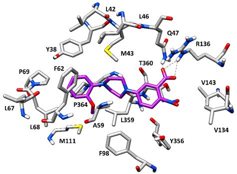 Identification of Human Dihydroorotate Dehydrogenase Inhibitor by a ...