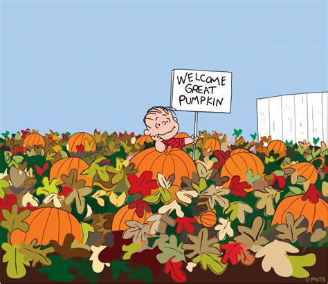 Image result for Peanuts Holiday Collection