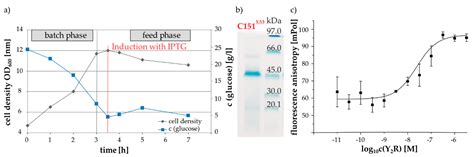 Probing the Y2 Receptor on Transmembrane, Intra- and Extra-Cellular ...