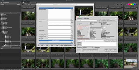 Image result for Photo Mechanic Tutorial