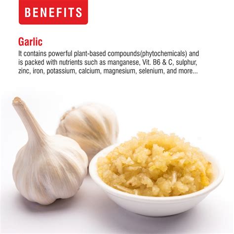 Buy Garlic Paste Online: Lahsun Paste at Best Price | Priya Foods