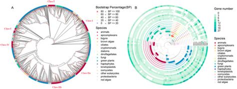 HDAC1: An Essential and Conserved Member of the Diverse Zn2+-Dependent ...