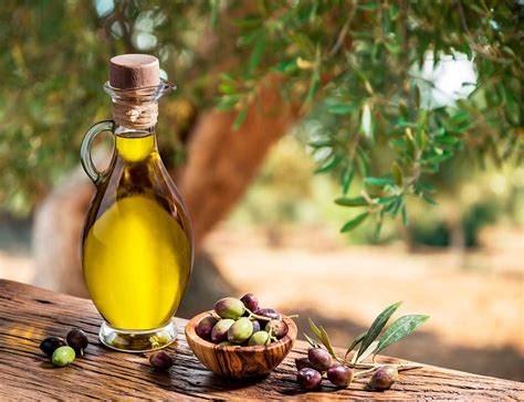 Propiedades nutricionales del aceite de oliva