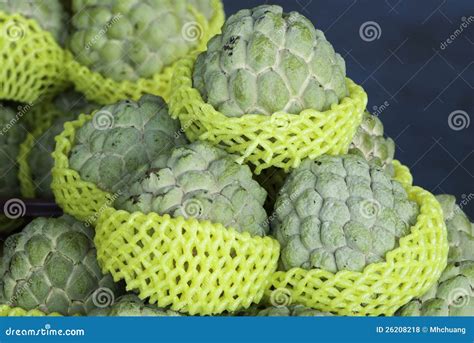 Sugar-apple - JungleKey.in Image