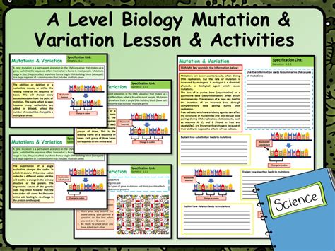 Image result for Biology Ordinal Level Mutation Lesson