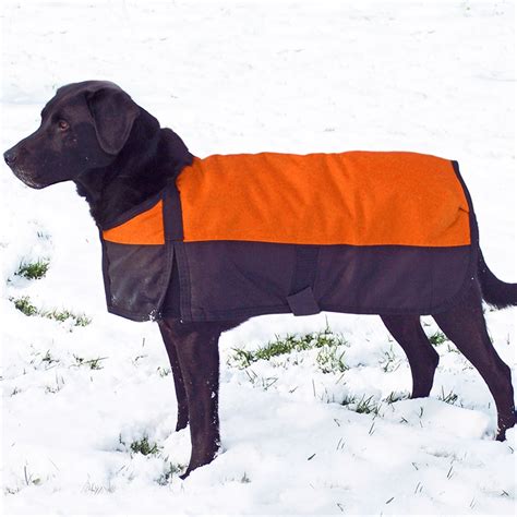 Xxl Dog Coat Patterns at William Swoope blog