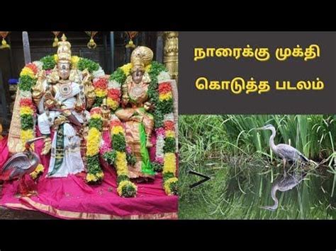 Image result for Serial Number Sample