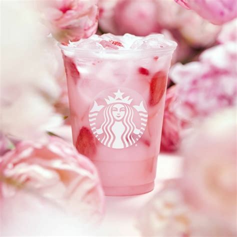 Starbucks Pink Drink: What It Is And How Much It Costs - Tastylicious
