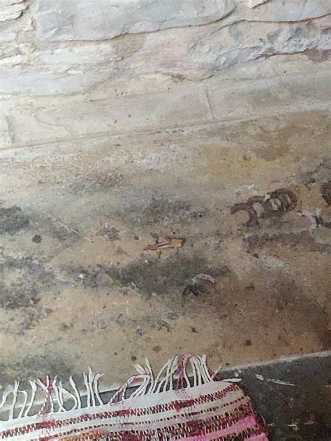 ARETI COURTYARD VILLA (Episkopi) - Lodging Reviews & Photos - Tripadvisor