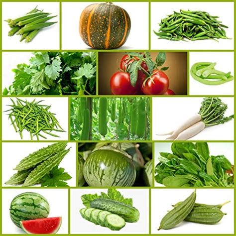 Only For Organic Summer Hybrid Vegetable Seeds With Instruction Manual ...