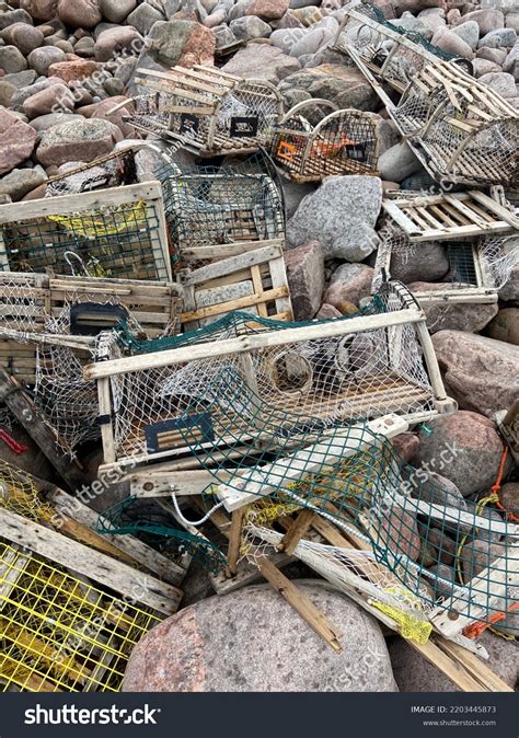 228 Real Lobsters Images, Stock Photos & Vectors | Shutterstock