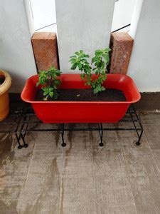 VINSHRA Rectangular Plastic Planter with plate 20 inch pcs 3 Heavy Duty ...