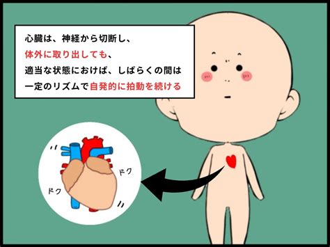 Image result for Tutorials File