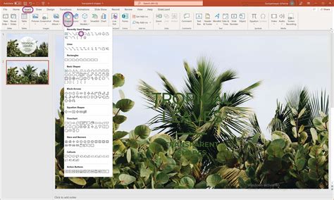 Image result for PowerPoint Transparent
